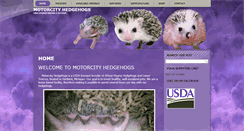 Desktop Screenshot of motorcityhedgehogs.com