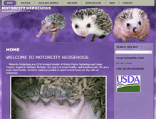 Tablet Screenshot of motorcityhedgehogs.com